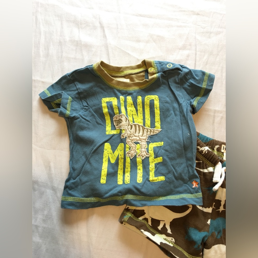 Hatley shorts and t-shirt set